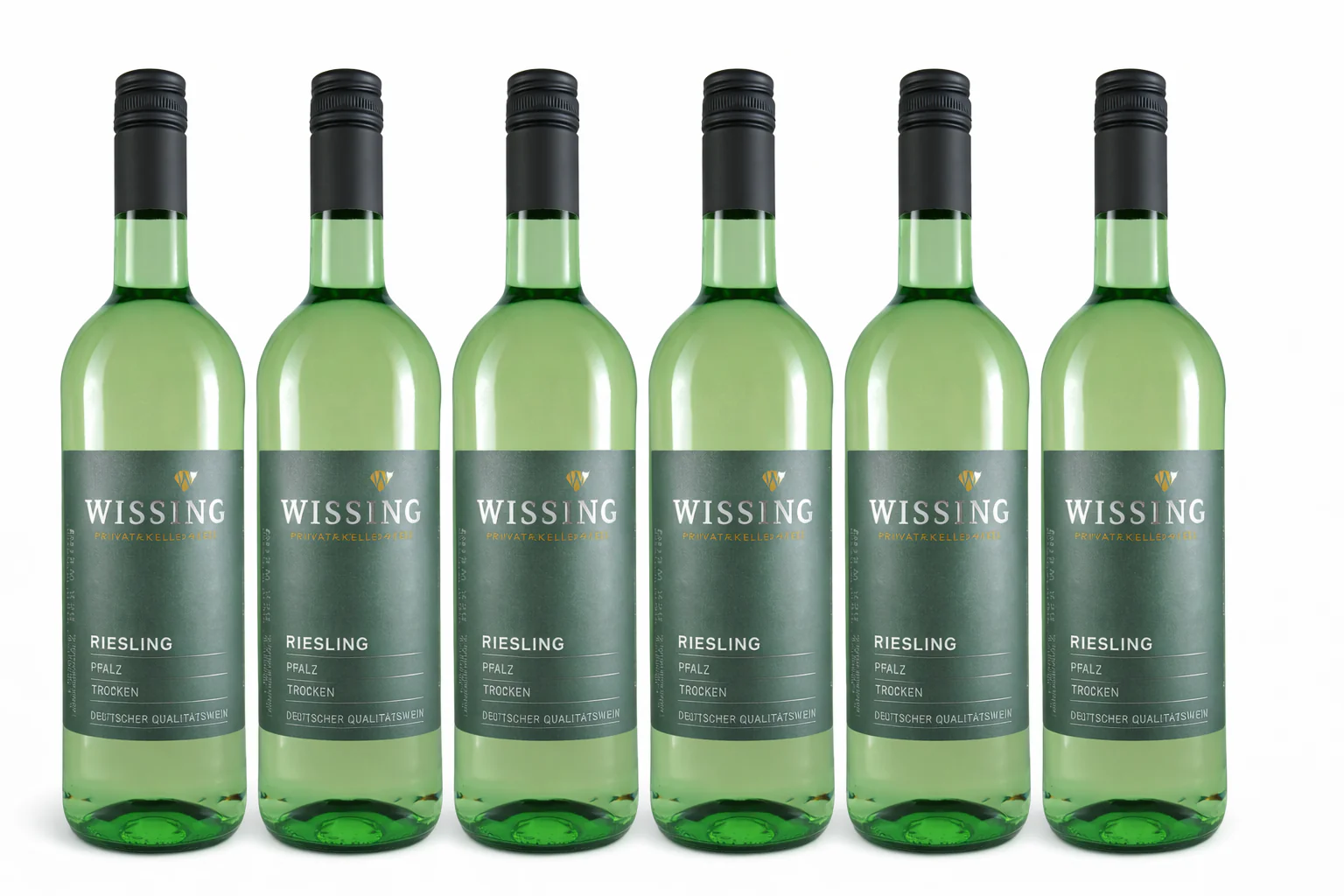 2023 Riesling trocken 6er Set- Privatkellerei Wissing