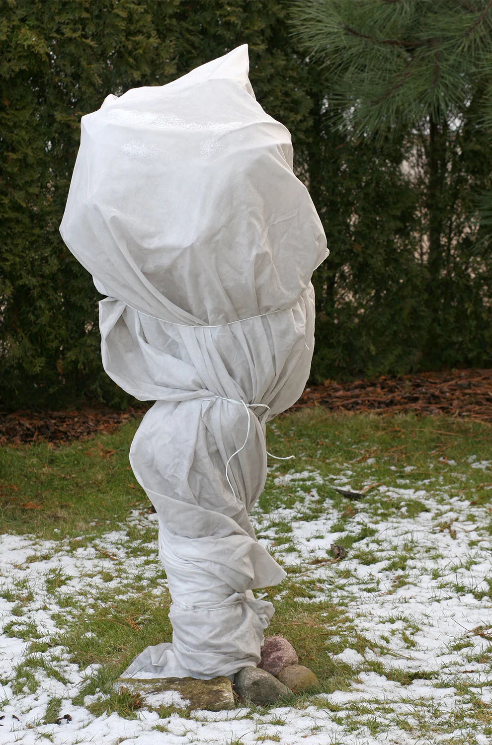 Winterschutzvlies Wintervlies Frostschutz 80g 1,4m breit - Image 44
