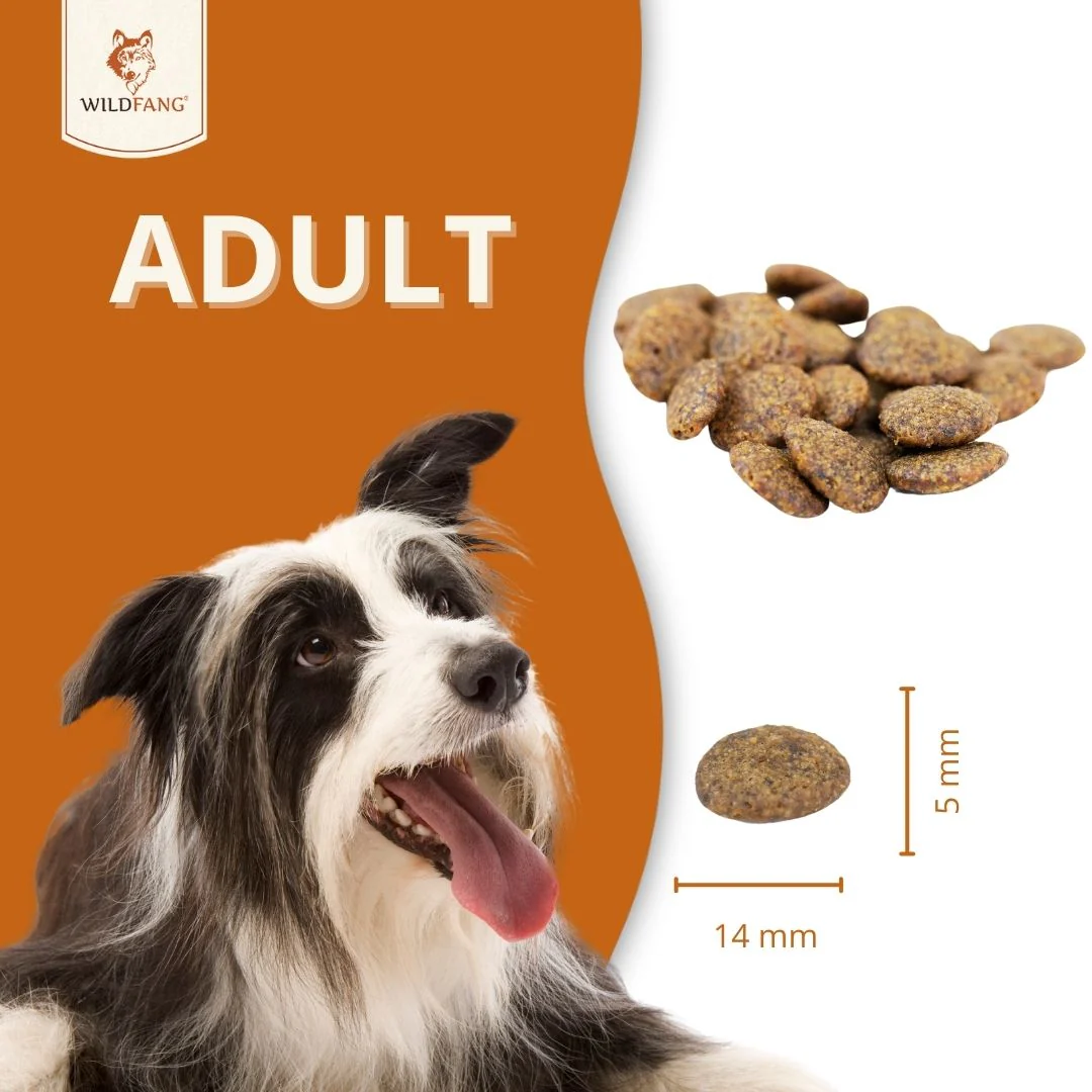 Adult Trockenfutter mit Kaninchen - getreidefrei - Image 7