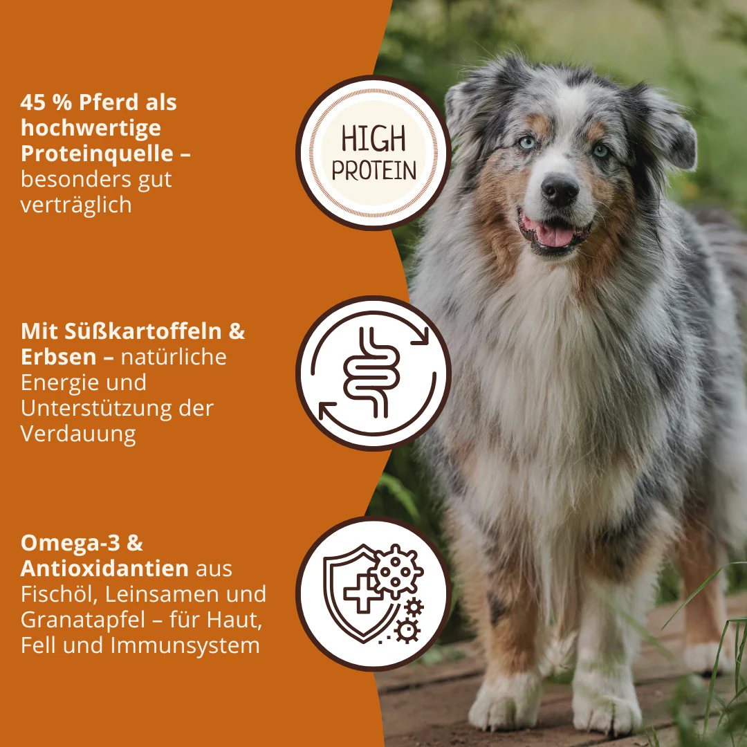 Adult Trockenfutter mit Pferd - getreidefrei - 2 x 2 kg - Image 16