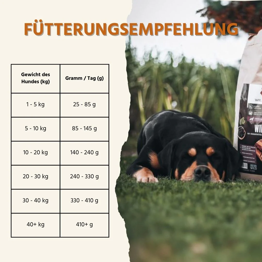 Adult Trockenfutter mit Wild - getreidefrei - Image 12
