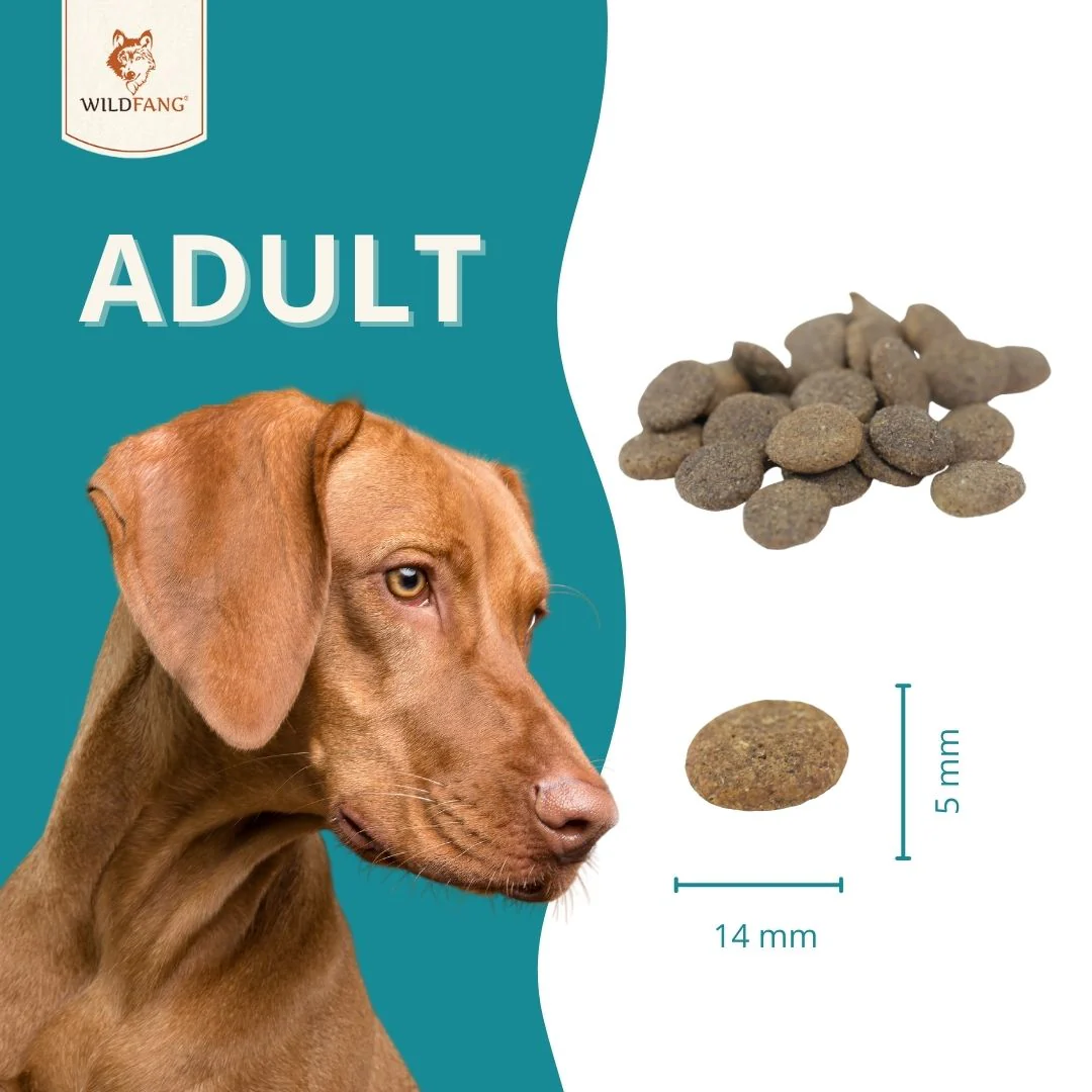 Adult Trockenfutter mit Wild - getreidefrei - Image 19