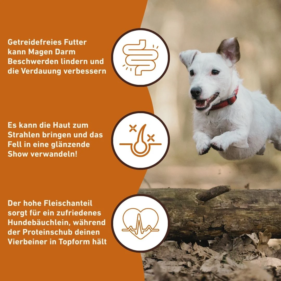 Adult Trockenfutter mit Wild - getreidefrei - Image 29