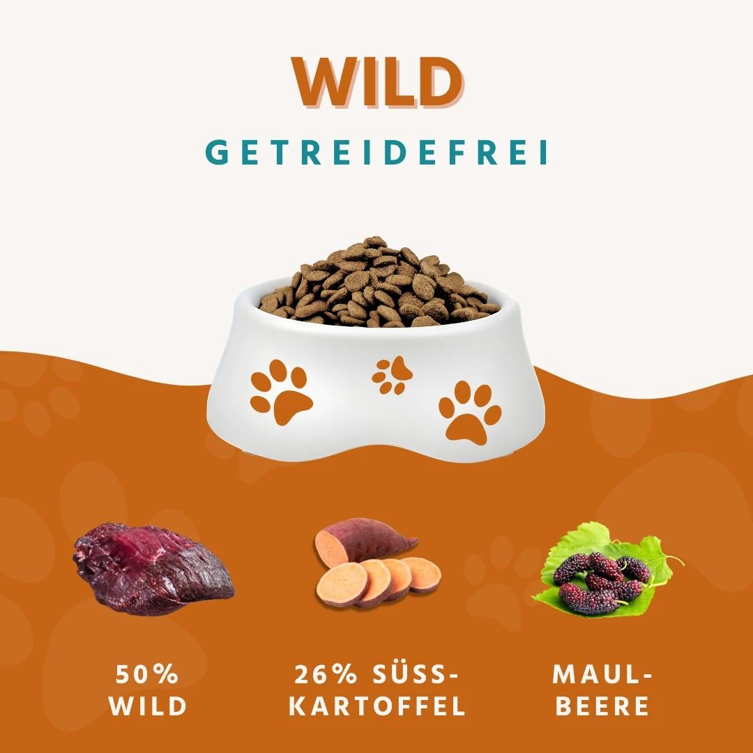 Adult Trockenfutter mit Wild - getreidefrei - Image 7