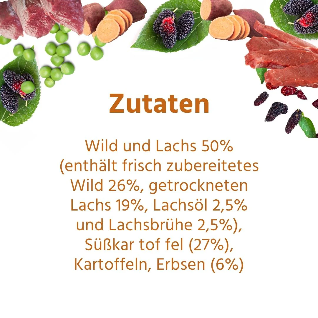 Adult Trockenfutter mit Wild - getreidefrei - Image 9