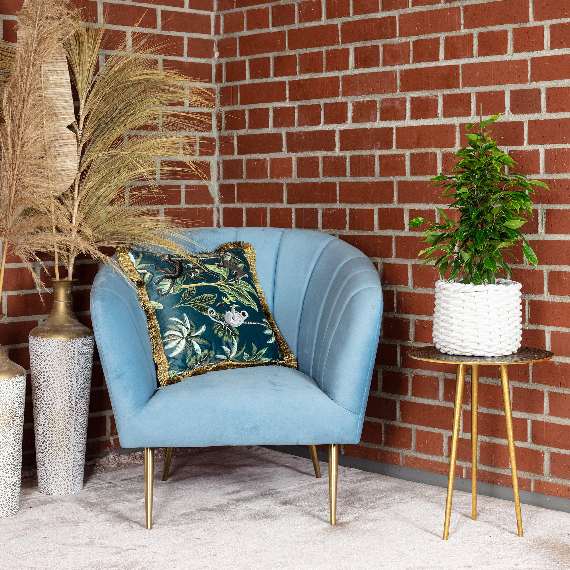 Birkenfeige "Forever" - Ficus benjamini - Höhe ca. 75 cm, Topf-Ø 17 cm - Image 3