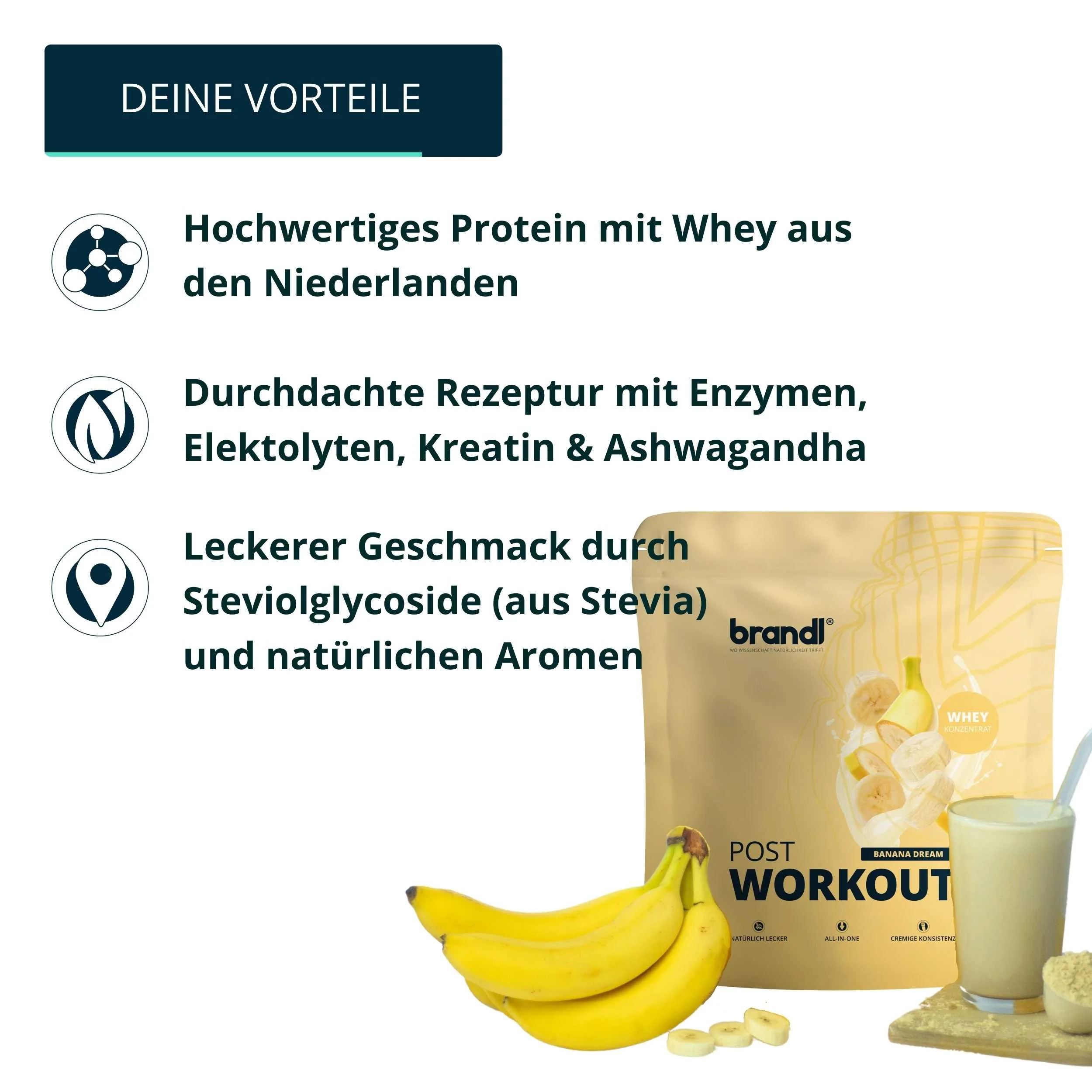 brandl® Protein-Pulver All-in-One nach dem Training - Image 8