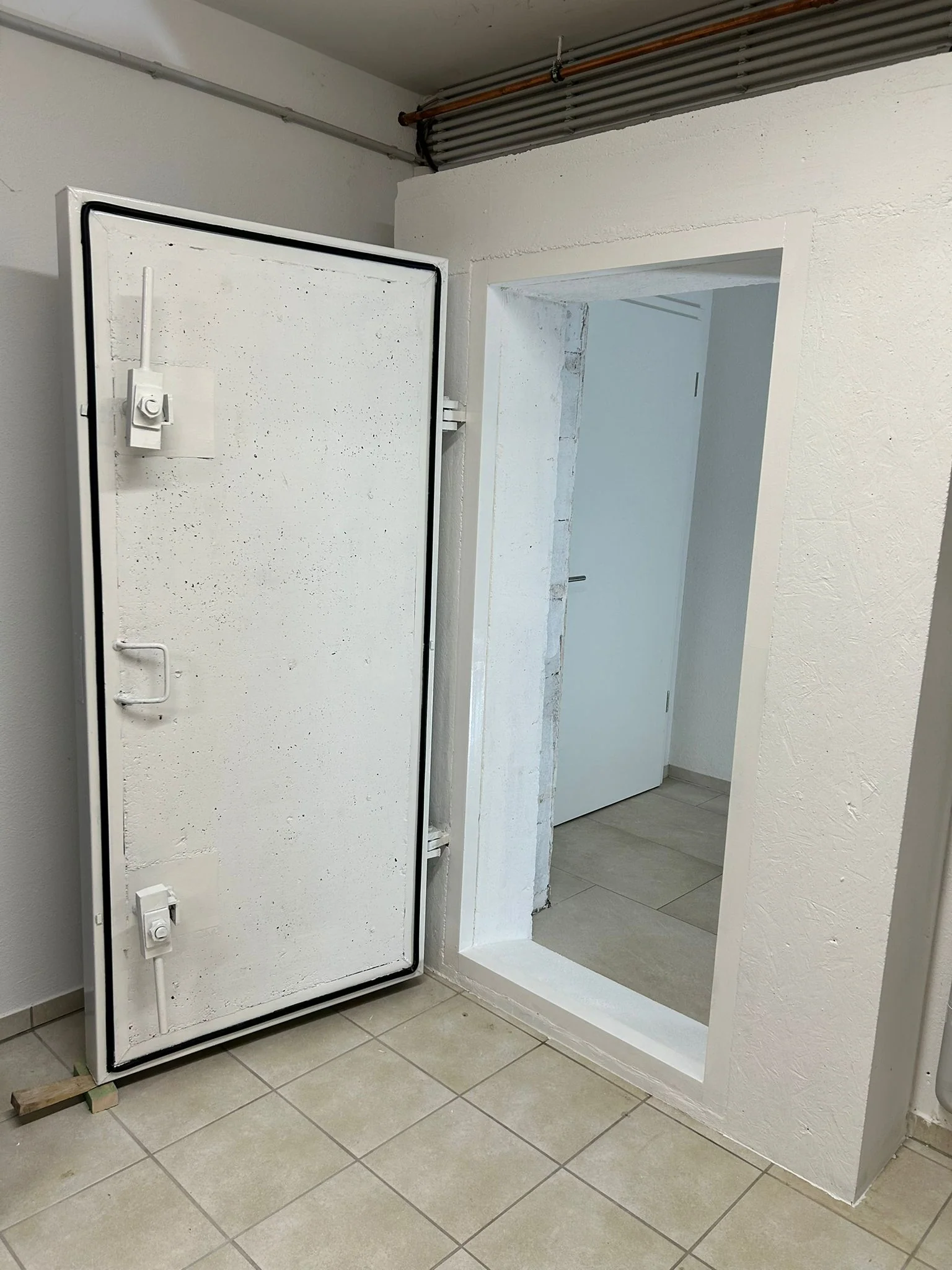 BSSD Defence Drucktür - DT1 LxBxH 80x10x185 cm - Image 3