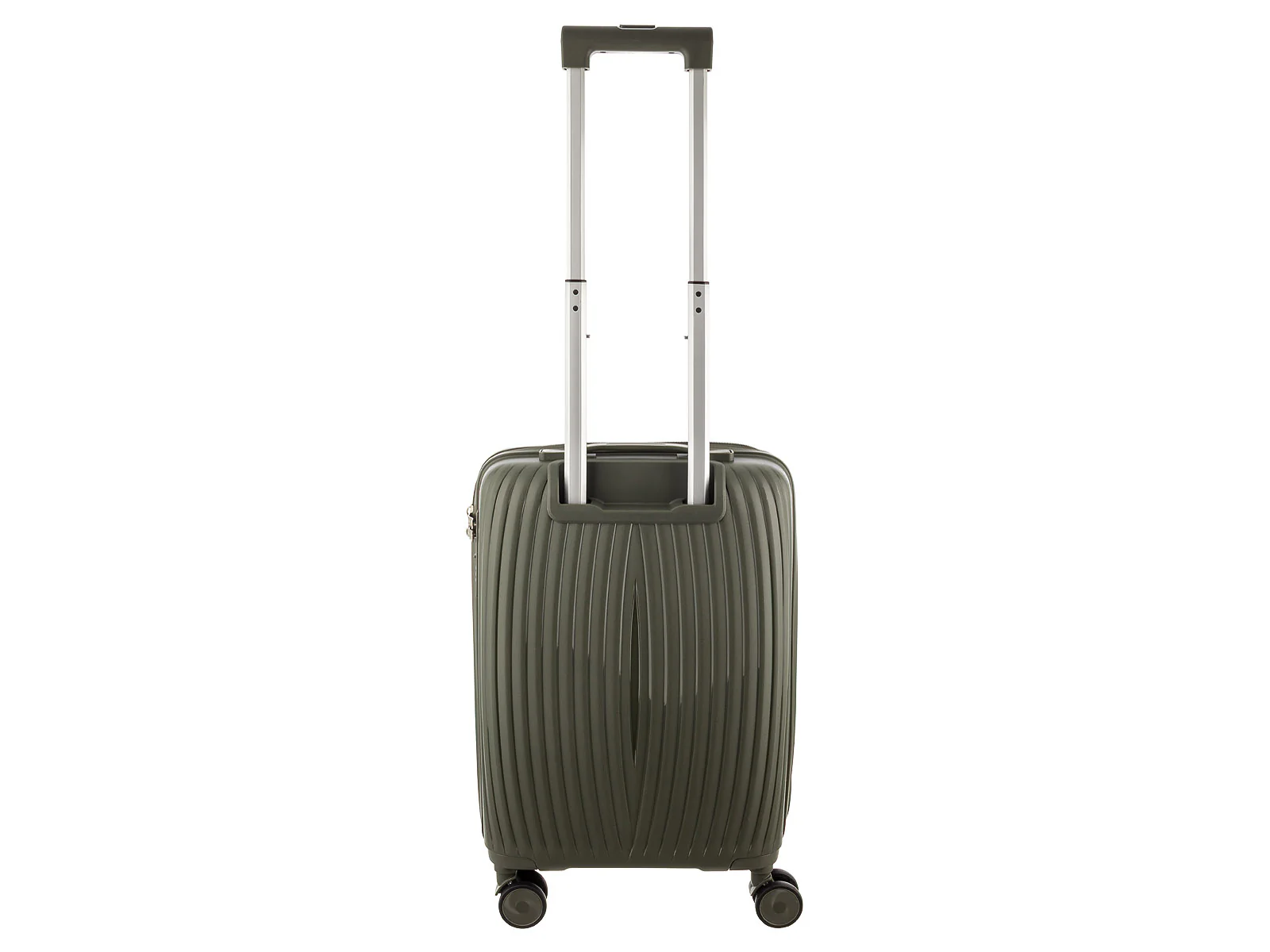 DANIEL RAY Travel Castlemaine Gr. L Koffer DR01.1620 Spinner ca. 74 Liter 03 dark green - Image 3