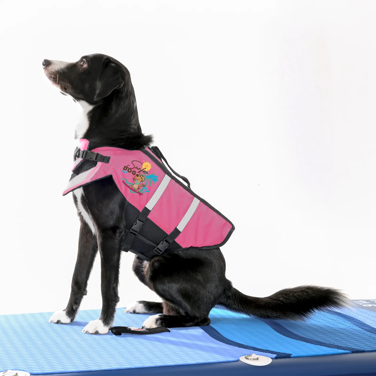F2 Schwimmweste Hunde Weste bis 10kg S Pink - Image 8