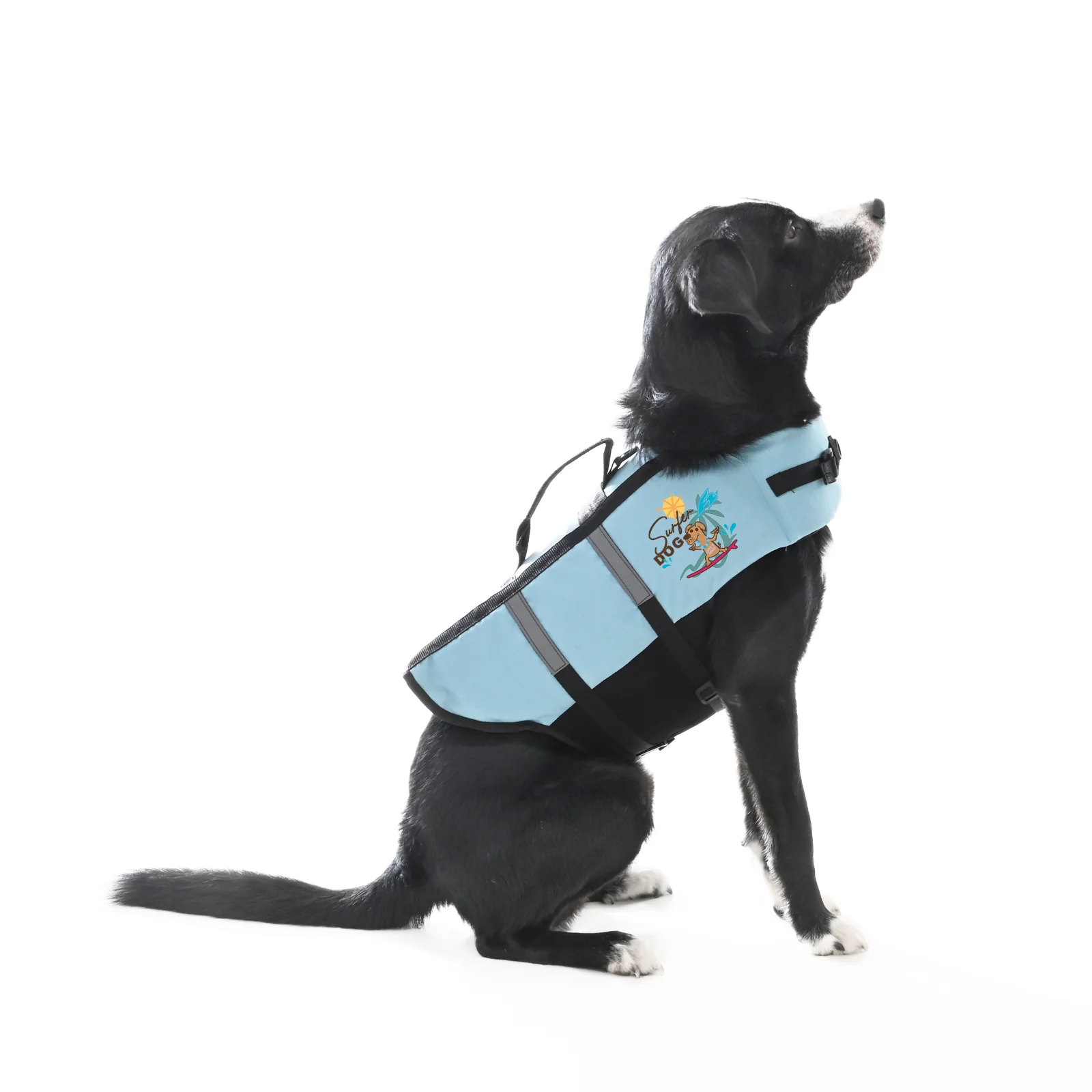 F2 Schwimmweste Hunde Weste über 40kg XL Blau - Image 2
