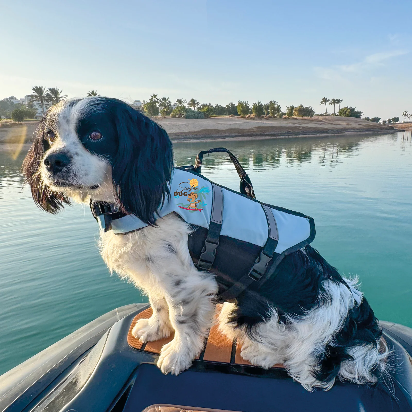 F2 Schwimmweste Hunde Weste über 40kg XL Blau - Image 5