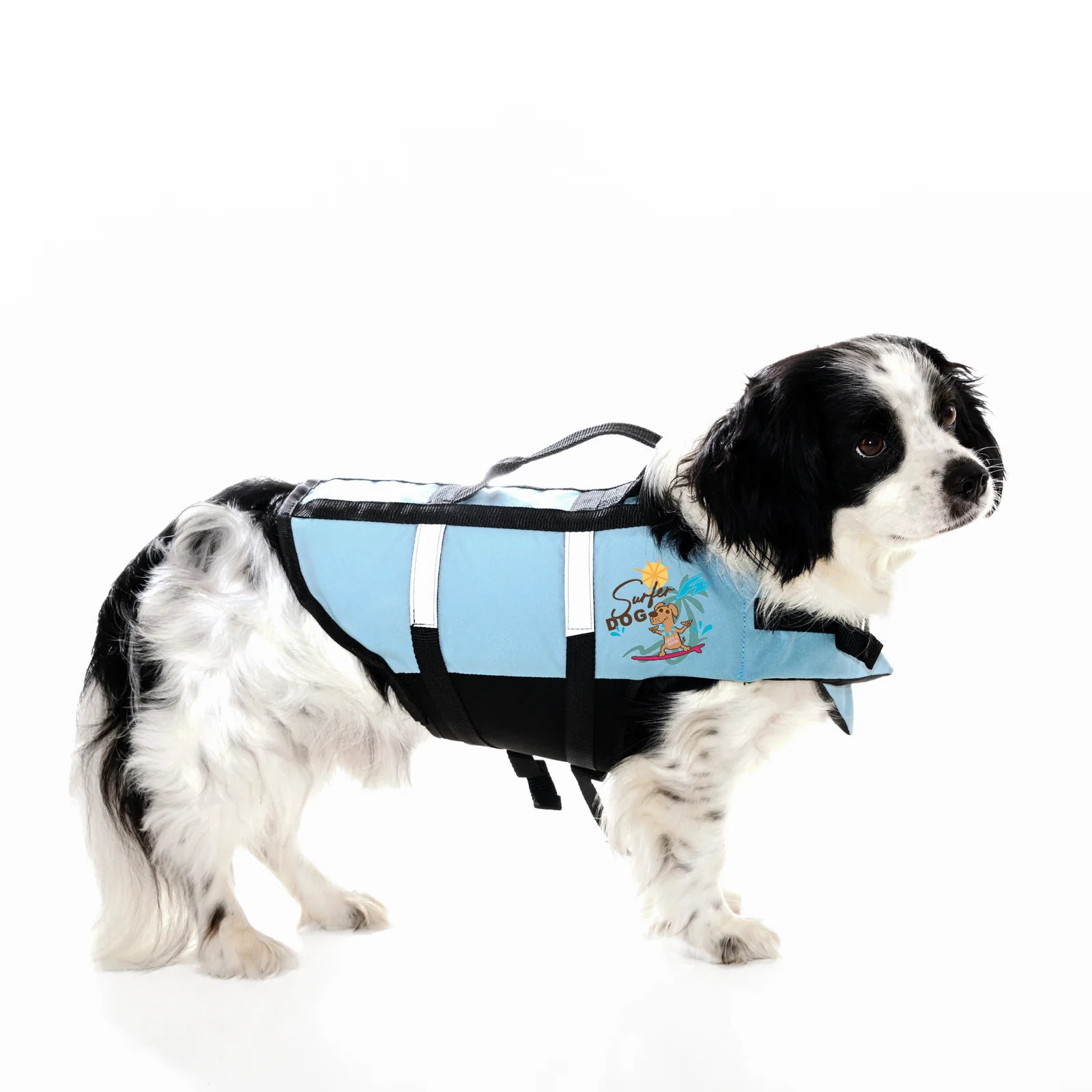 F2 Schwimmweste Hunde Weste über 40kg XL Blau - Image 7