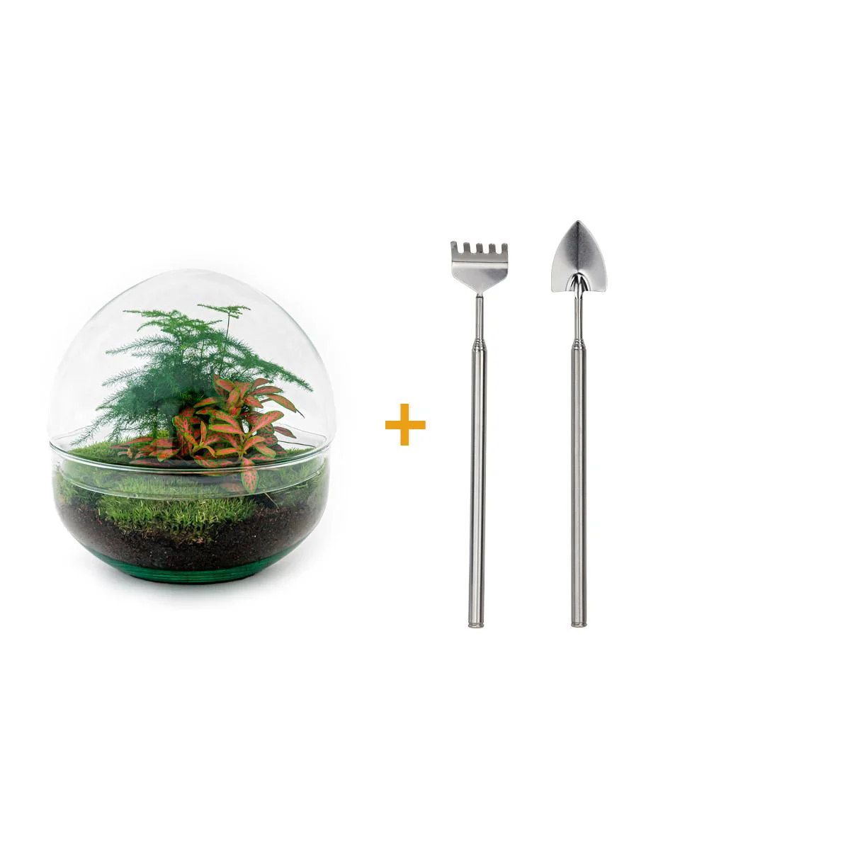Flaschengarten Dome Glaskugel DIY-Pflanzenterrarium 20 cm hoch incl. Rechen und Schaufel - Image 2