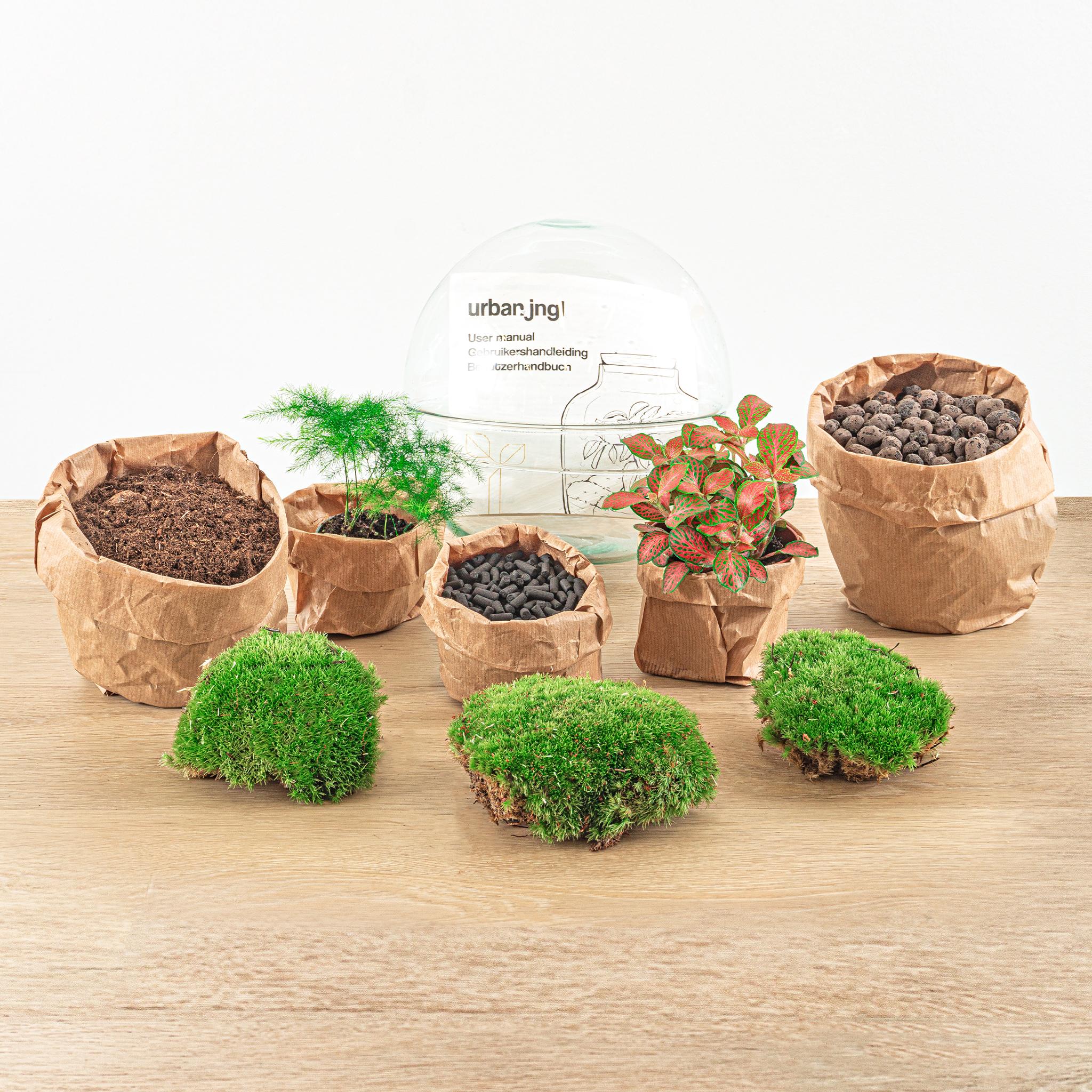 Flaschengarten Dome Glaskugel Pflanzenterrarium 20 cm incl. Rechen Schaufel Pinzette und Schere - Image 4