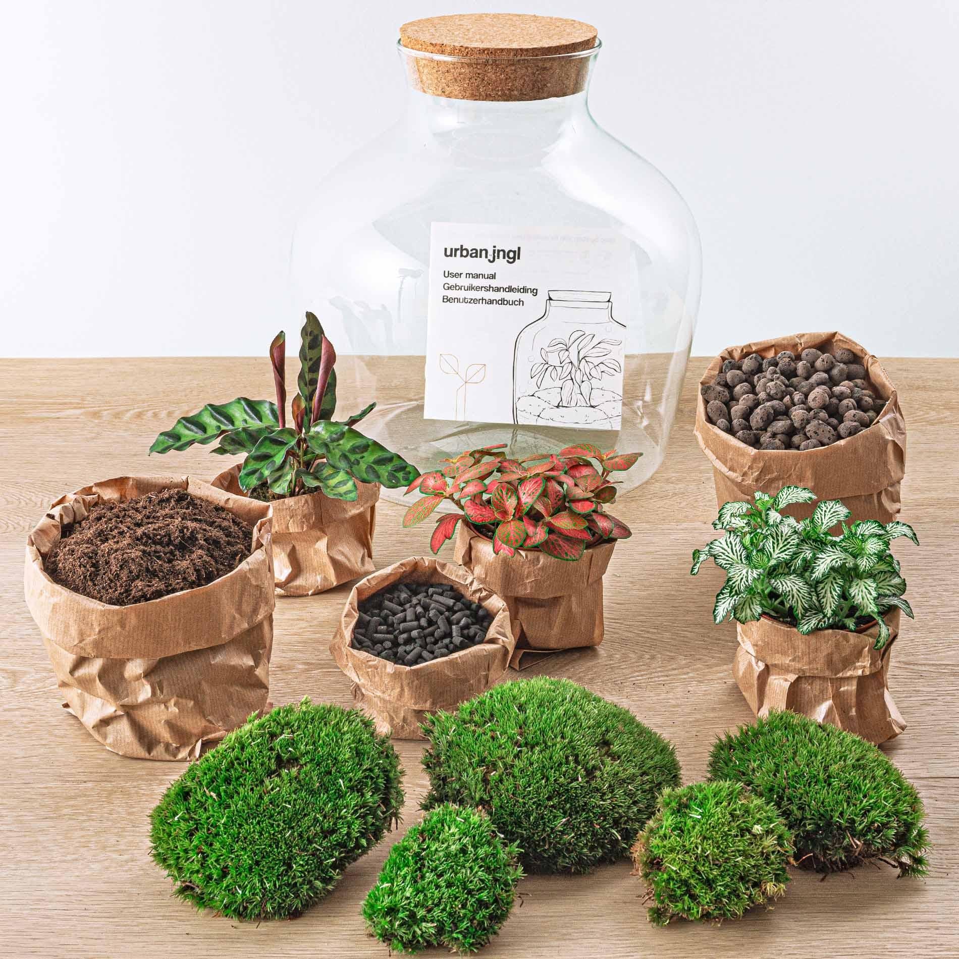 Flaschengarten Fat Joe ROT DIY-Pflanzen-Terrarium 30cm incl. Rechen Schaufel Pinzette Schere - Image 4
