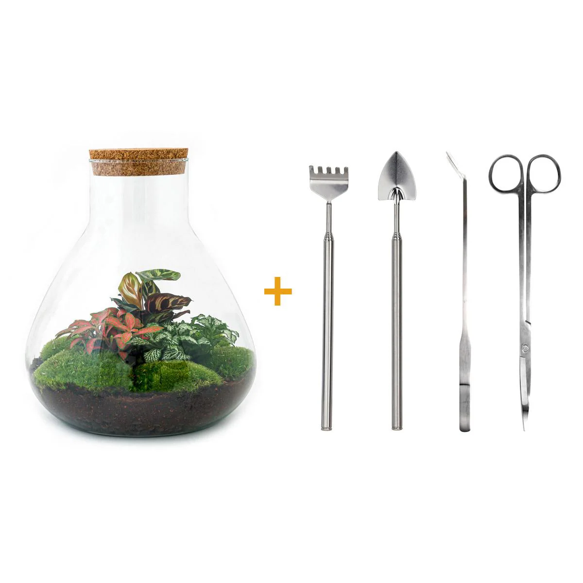 Flaschengarten Sam XL ROT DIY-Pflanzenterrarium 35 cm incl. Rechen Schaufel Pinzette Schere - Image 3
