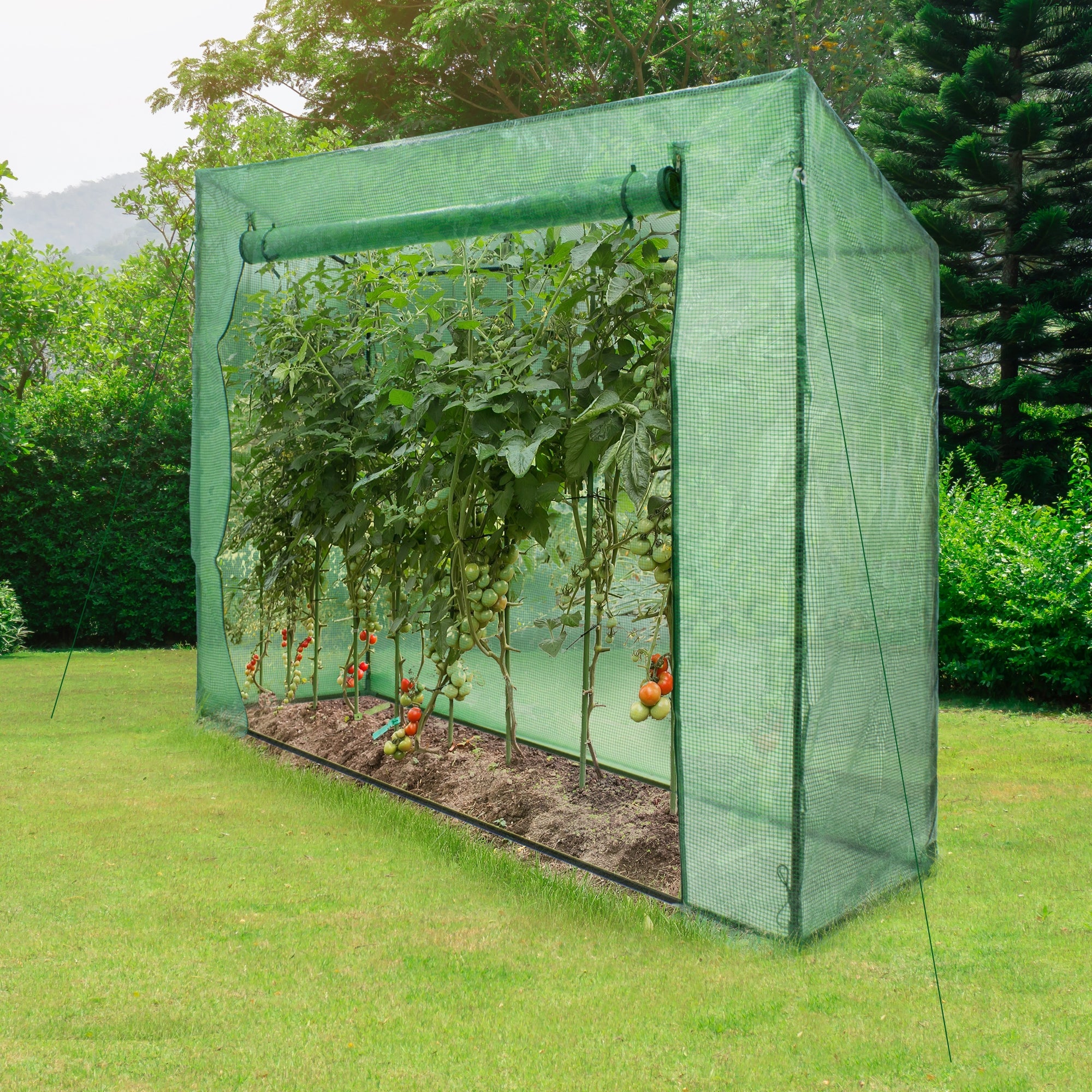 Foliengewächshaus mit Gitternetzfolie/aufrollbare Tür, Schrägdach, Grün, 200x79x168cm, Stahlrahmen - Image 10