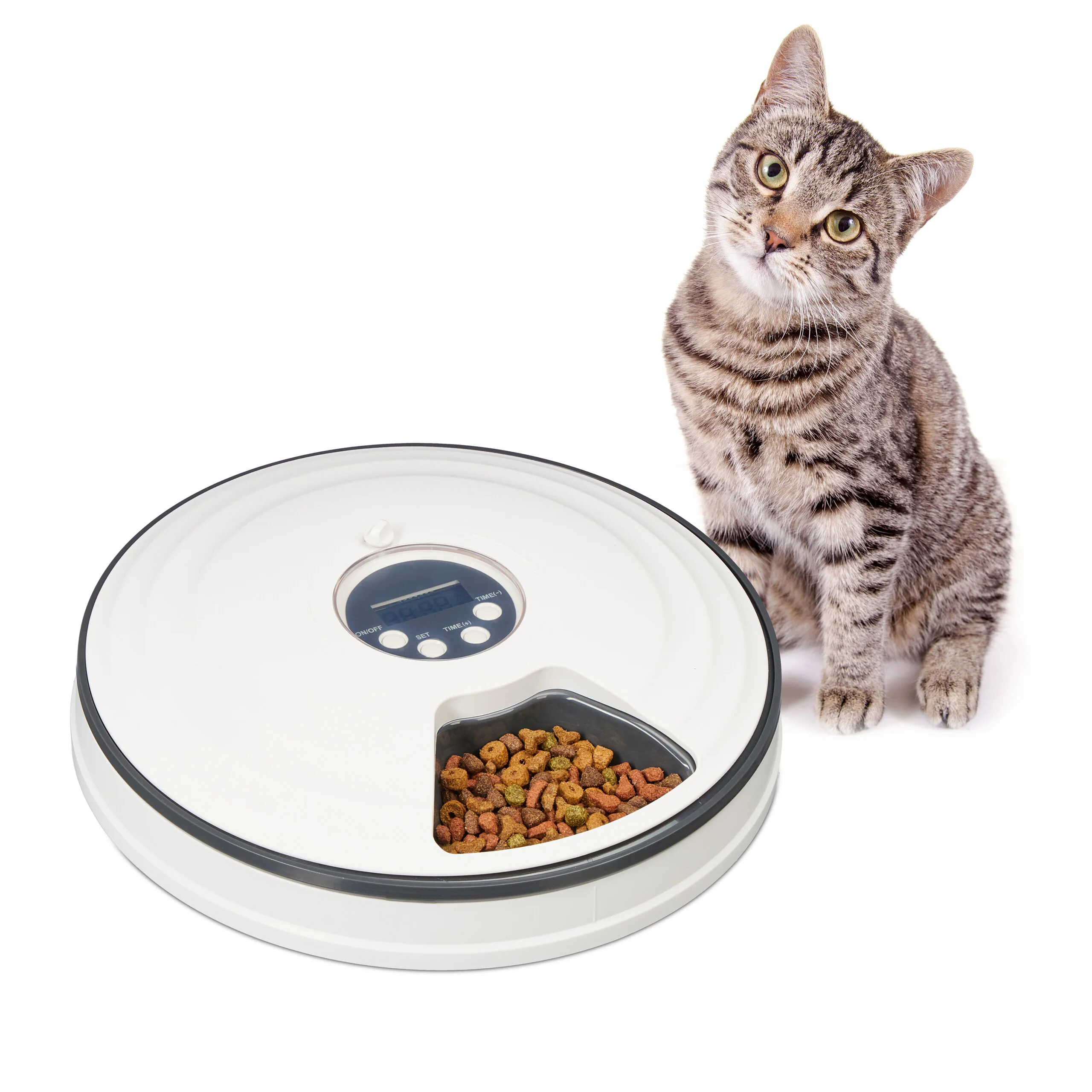 Futterautomat für Katzen