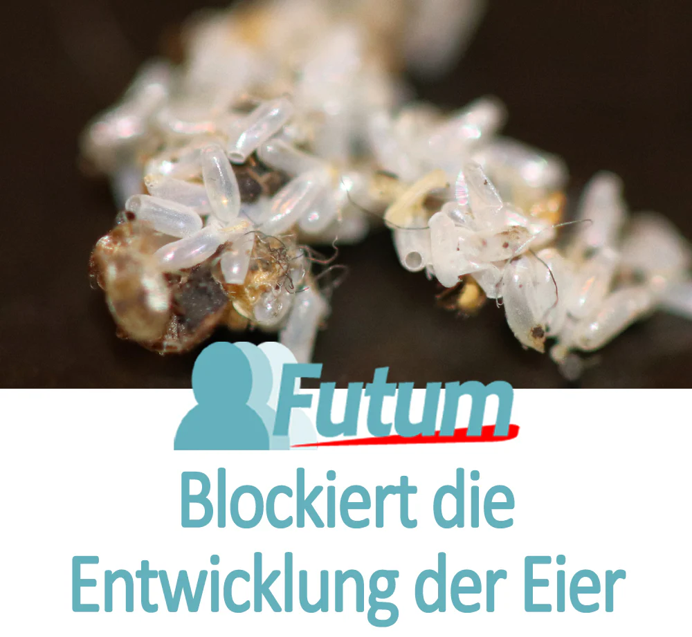 Futum 1x2 Liter + 2x500ml Silberfischspray - Image 5