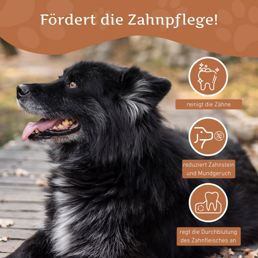 Kaffeeholz Kaustab - Image 16