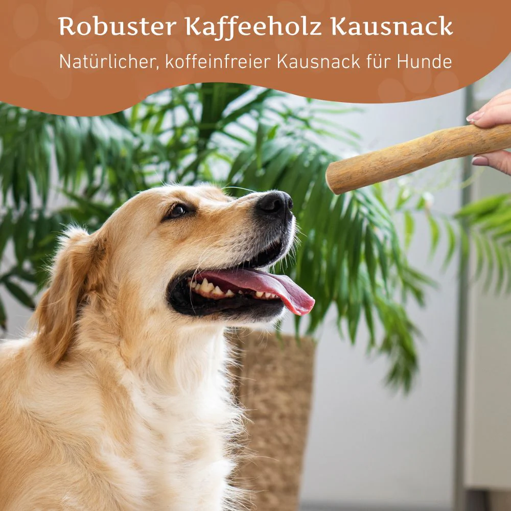 Kaffeeholz Kaustab - Image 30