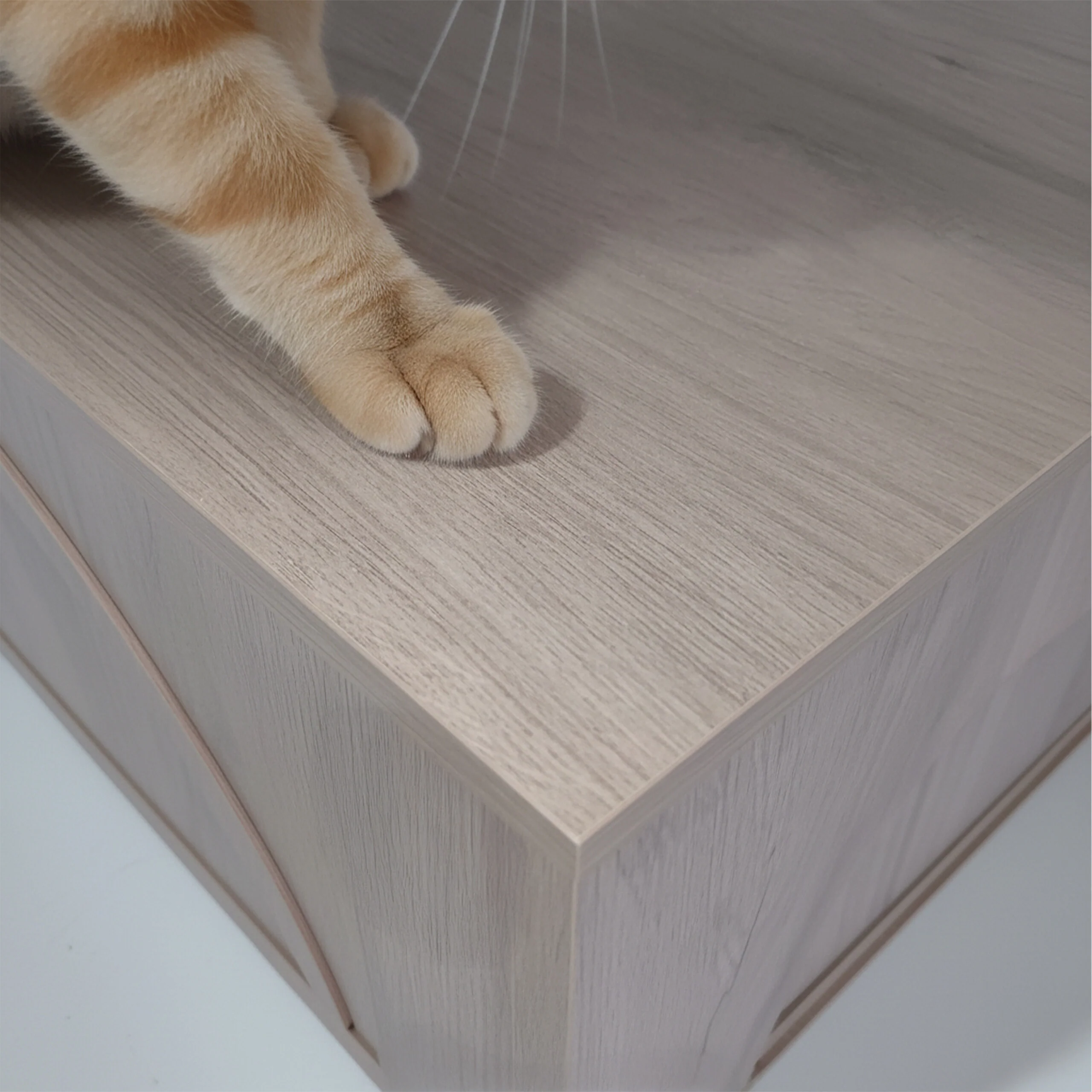Katzenschrank für Katzenklo - Image 14