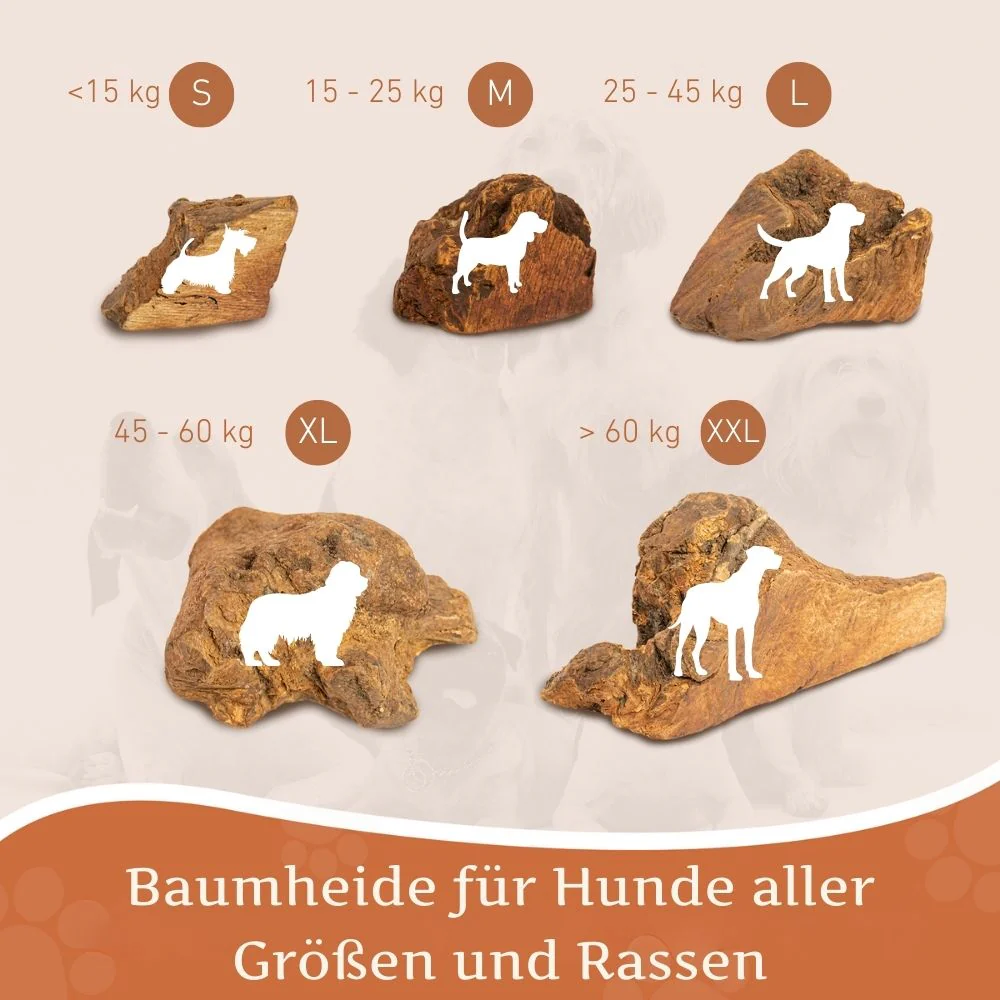 Kauwurzel aus Baumheide - Image 82