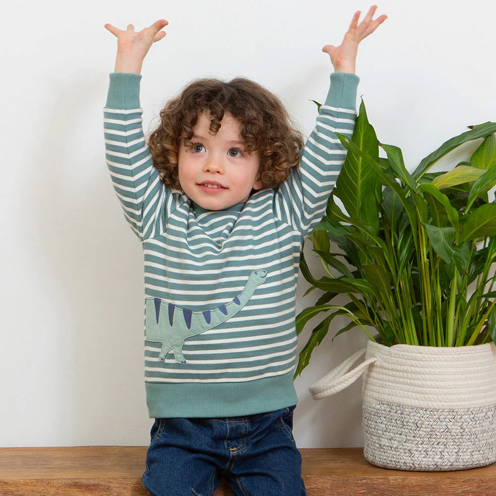 Kite Kinder Dippy Dino Sweatshirt Bio-Baumwolle - Image 47