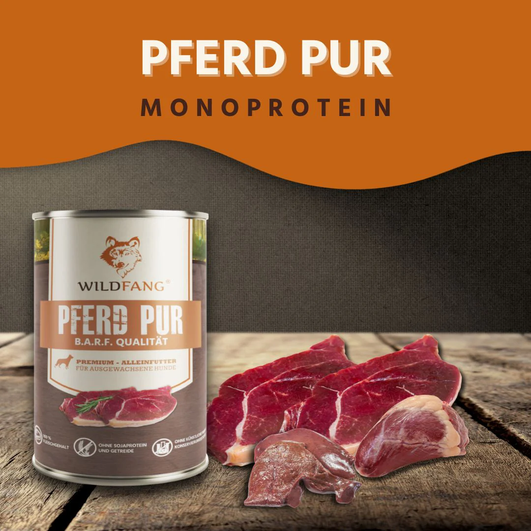 Nassfutter Pferd pur - BARF Qualität - Image 2