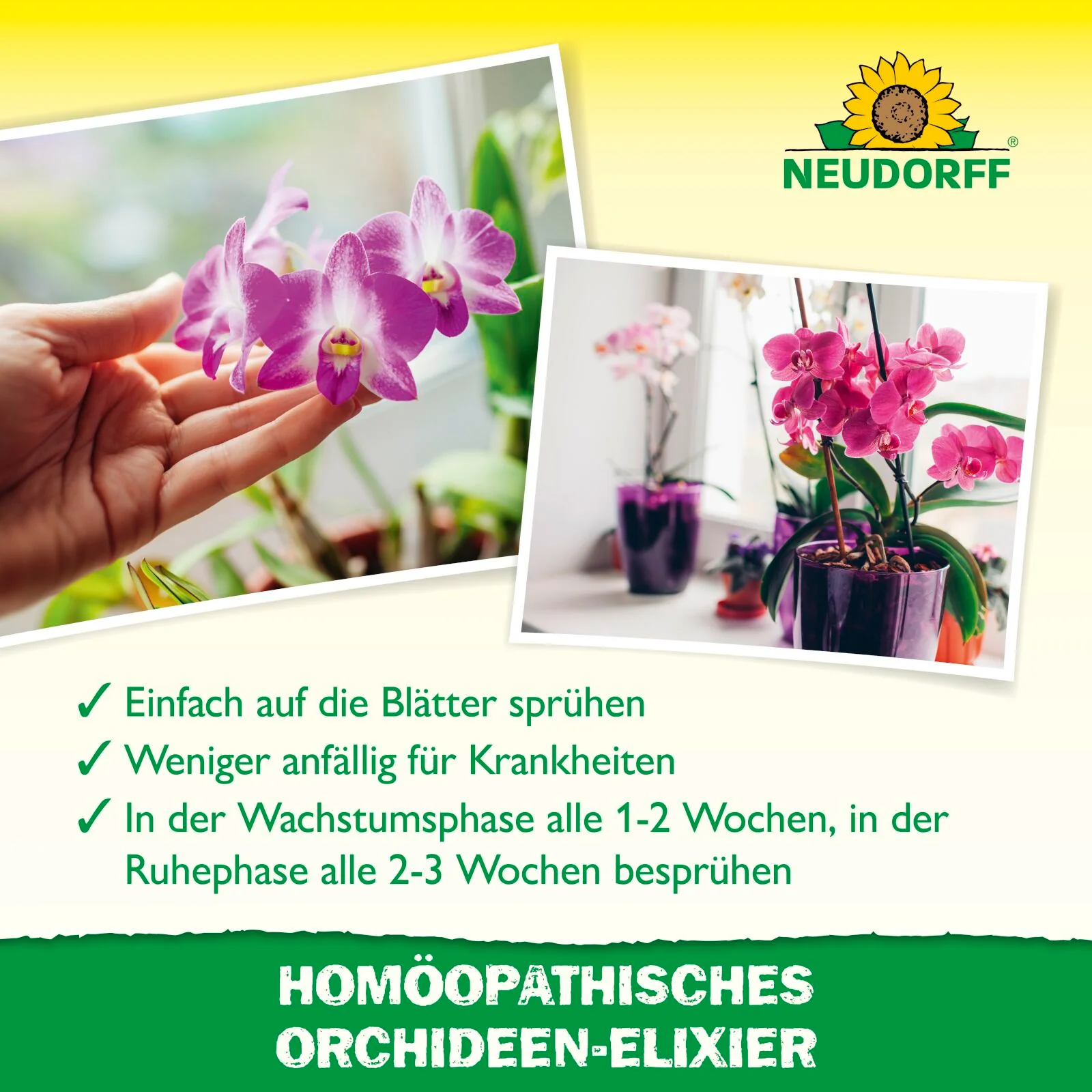 Neudorff Homöopathisches Orchideen-Elixier - 500 ml - Image 4