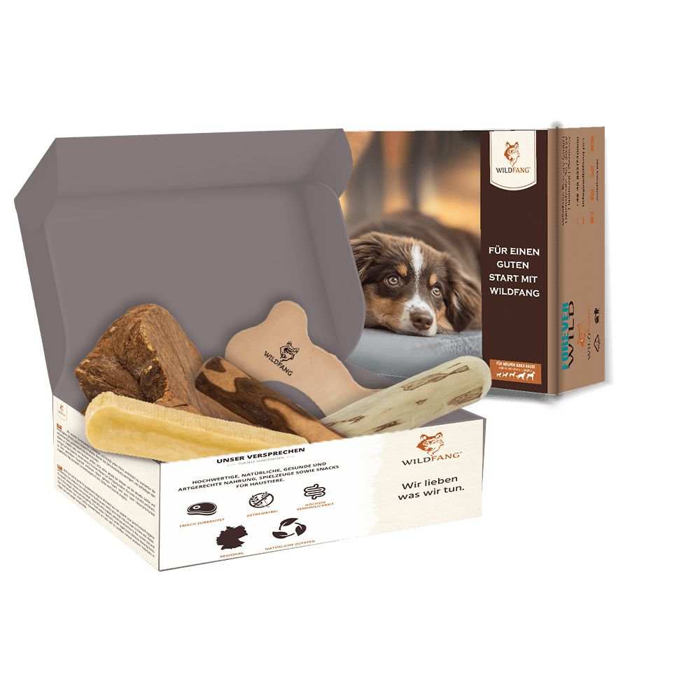 Paket "Kauspaß" - Image 13