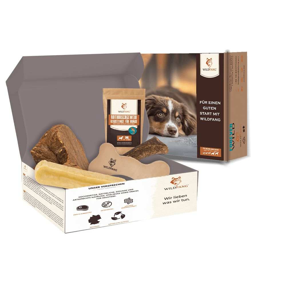 Paket "Lieblingsstücke" - Image 21