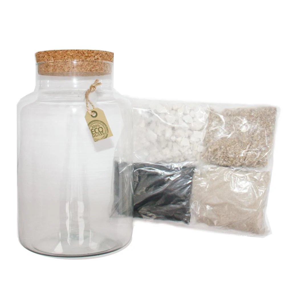 Pflanzen-Terrarium zum Selber Pflanzen Just Add Plants"" - Image 2