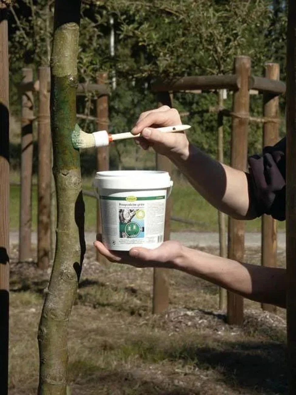 Raupenleim Naturleim 500g gegen Baumschädlinge wie Frostspanner und Ameisen - Image 5