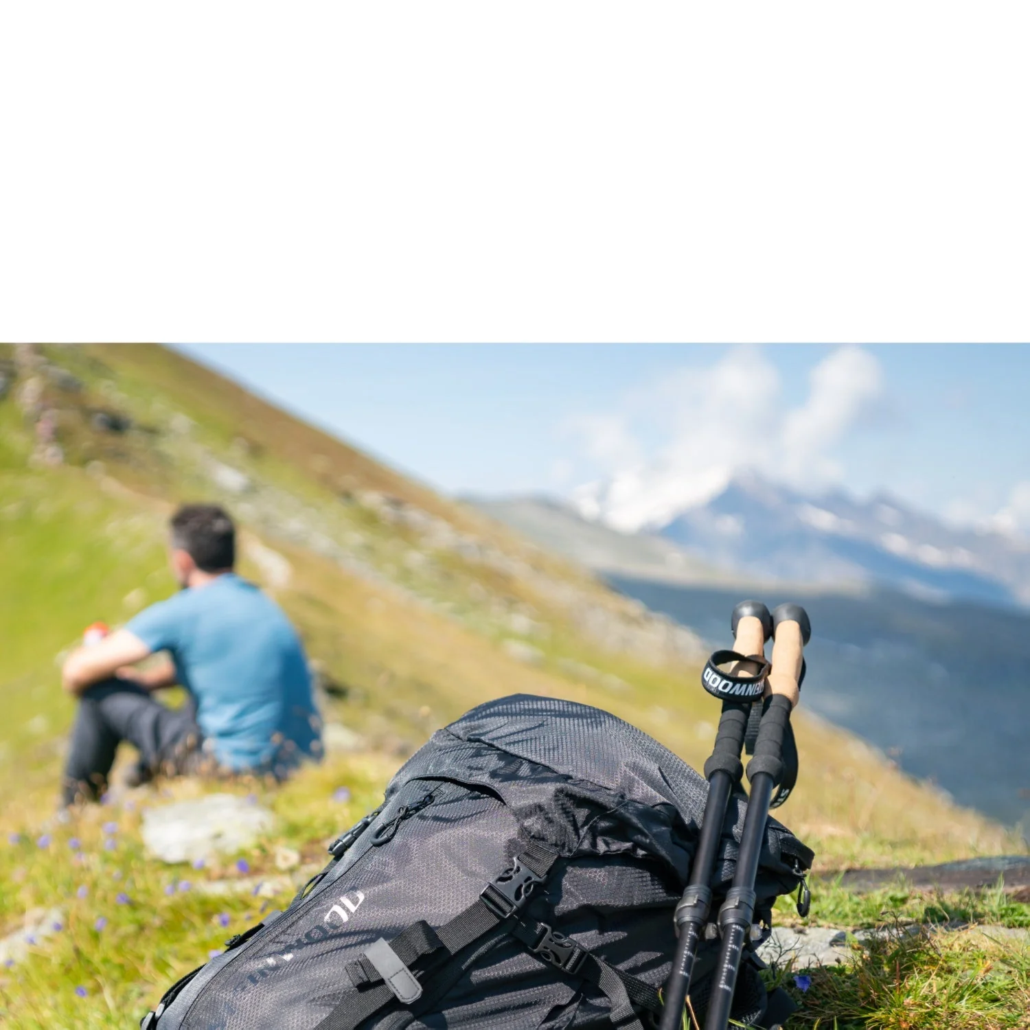 Steinwood Carbon Wanderstöcke ultraleicht, Teleskop, Korkgriff, Damen & Herren, Set - Image 4