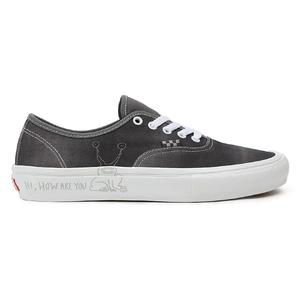 Turnschuhe Mann Vans Daniel Johnston Skate Authentic Grau - Image 50