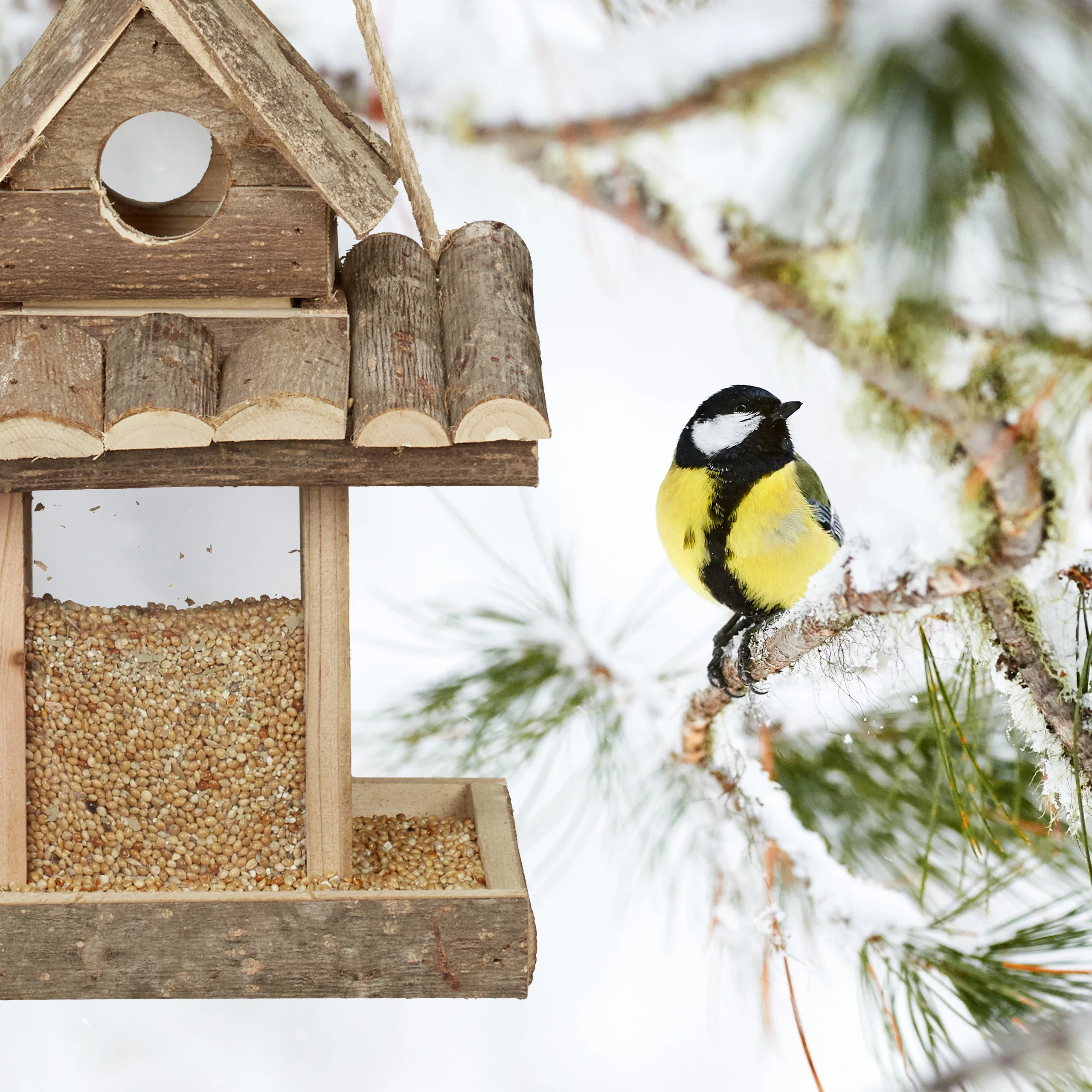 Vogelfutterhaus zum Aufhängen - Image 5