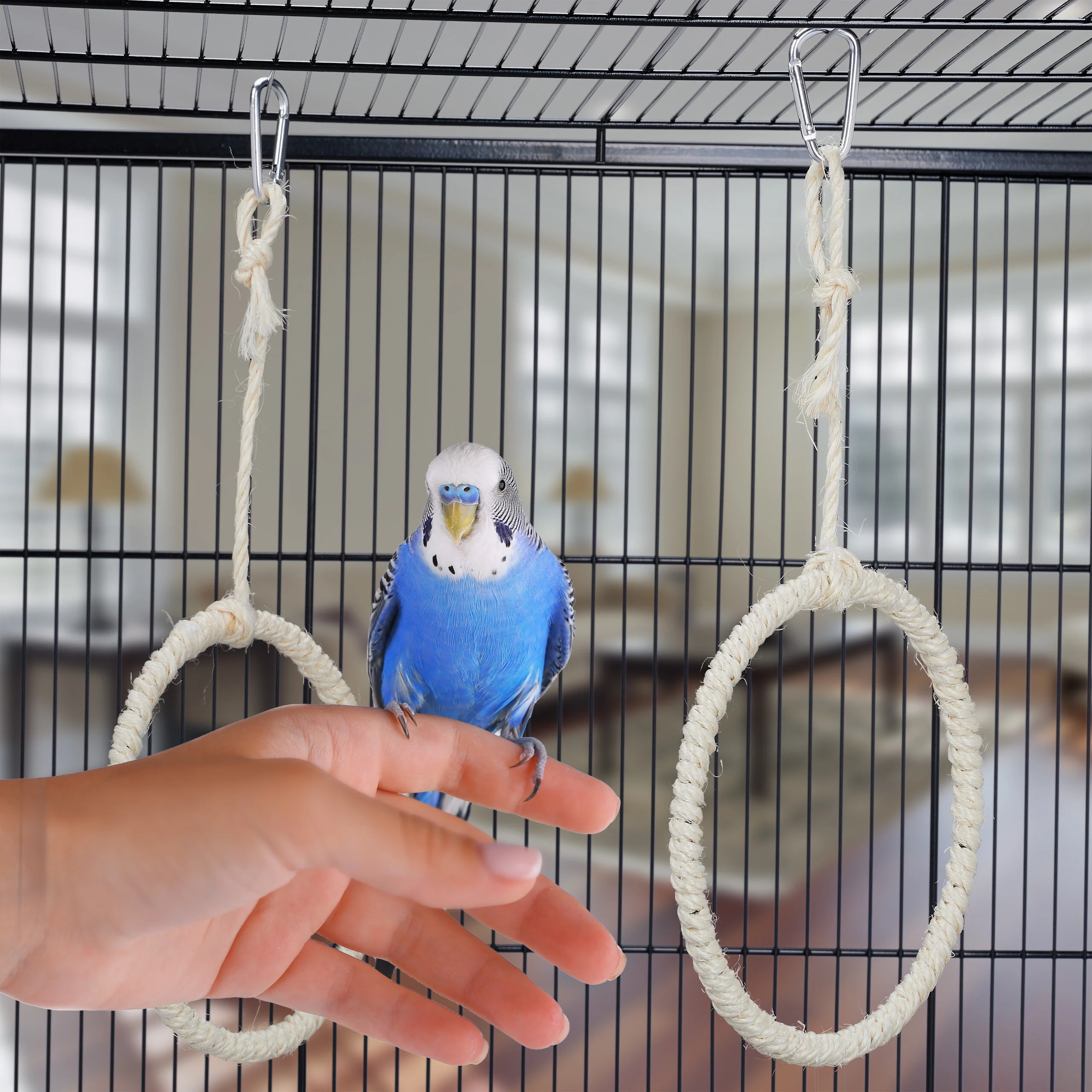 Vogelschaukel Ring 2er Set - Image 3