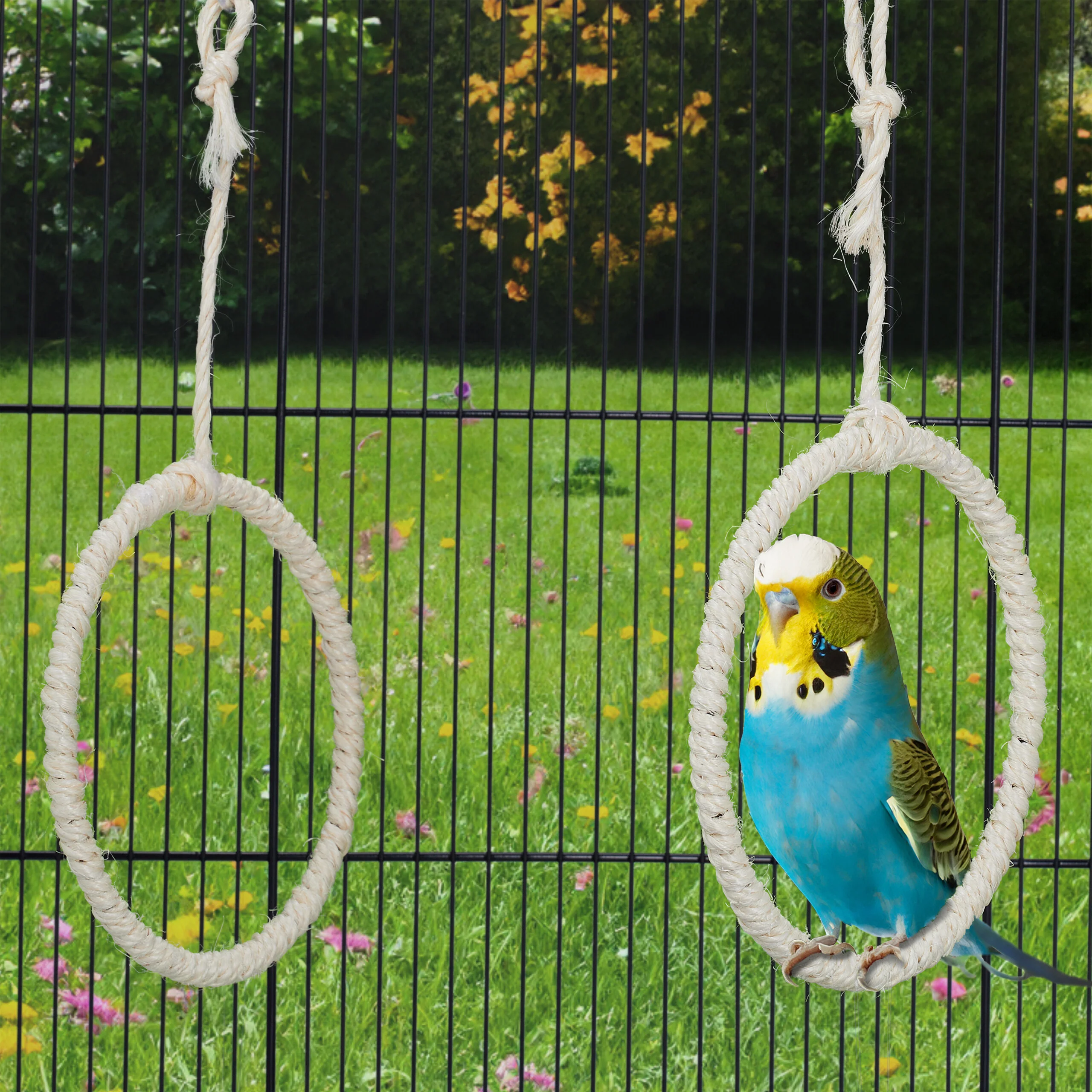 Vogelschaukel Ring 2er Set - Image 5