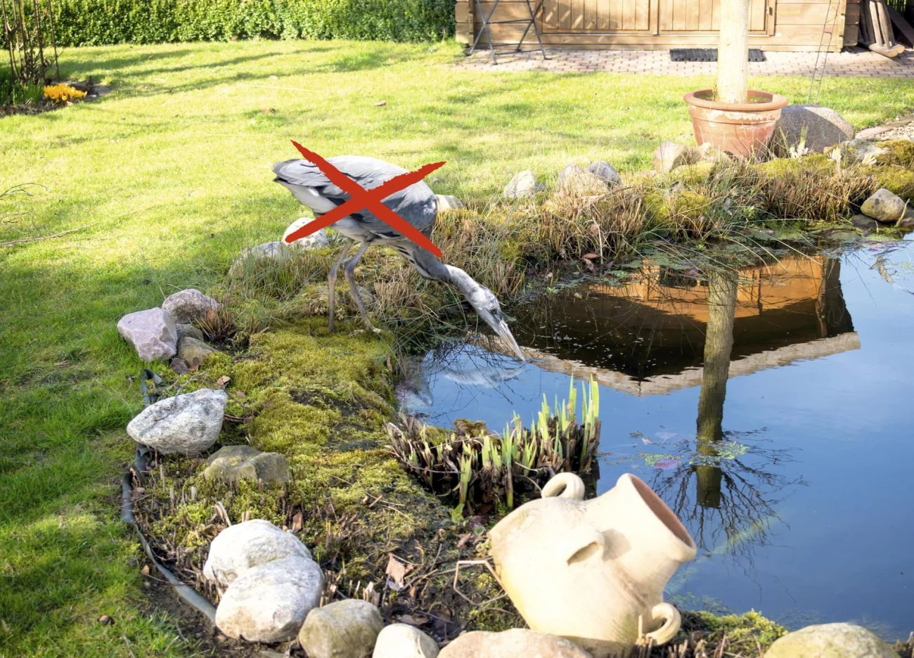 Vogelschutz Teichgitter 20er Set – Effektiver Schutz für Ihren Gartenteich - Image 7