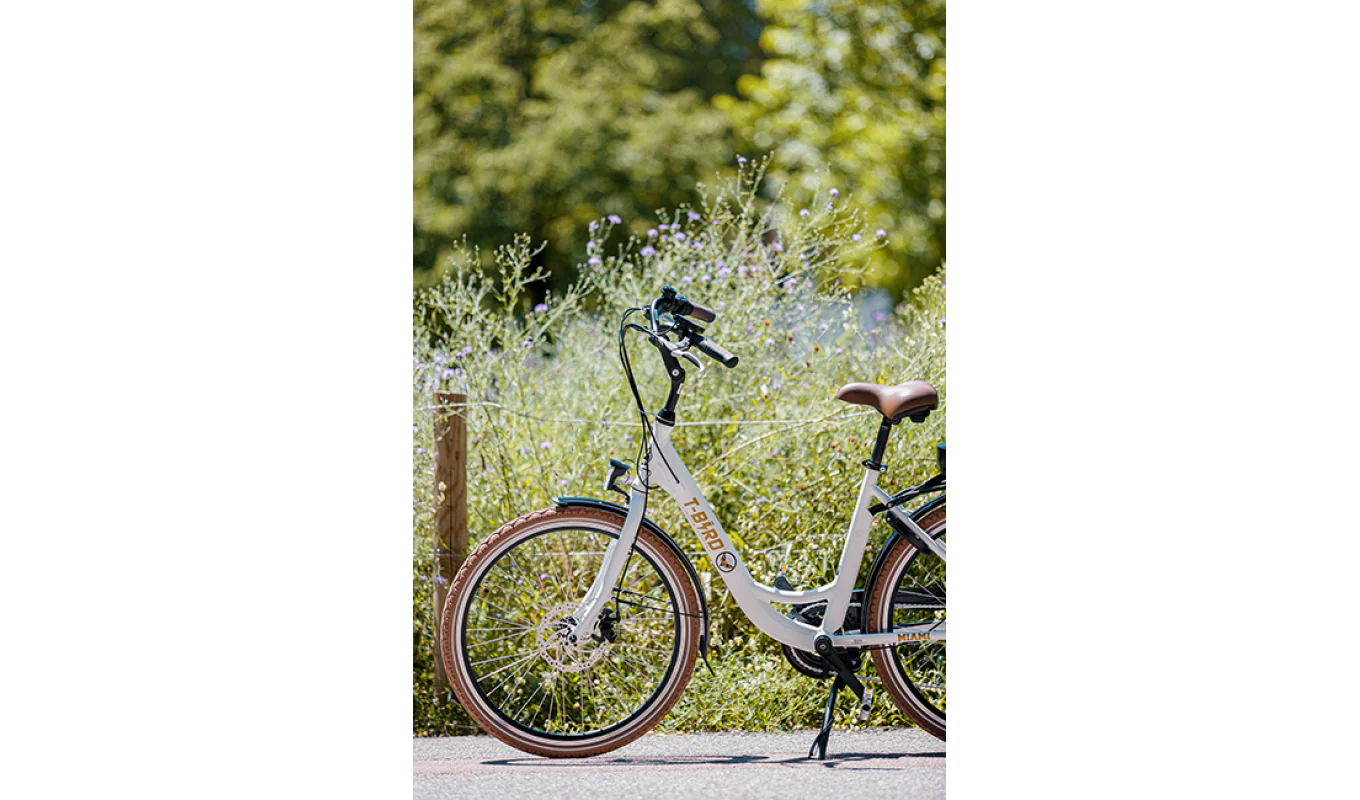 ZMH Elektrofahrrad Hochleistungsakku Robuster Aluminiumrahmen Premium Weiß 26 Zoll E-Bike - Image 5